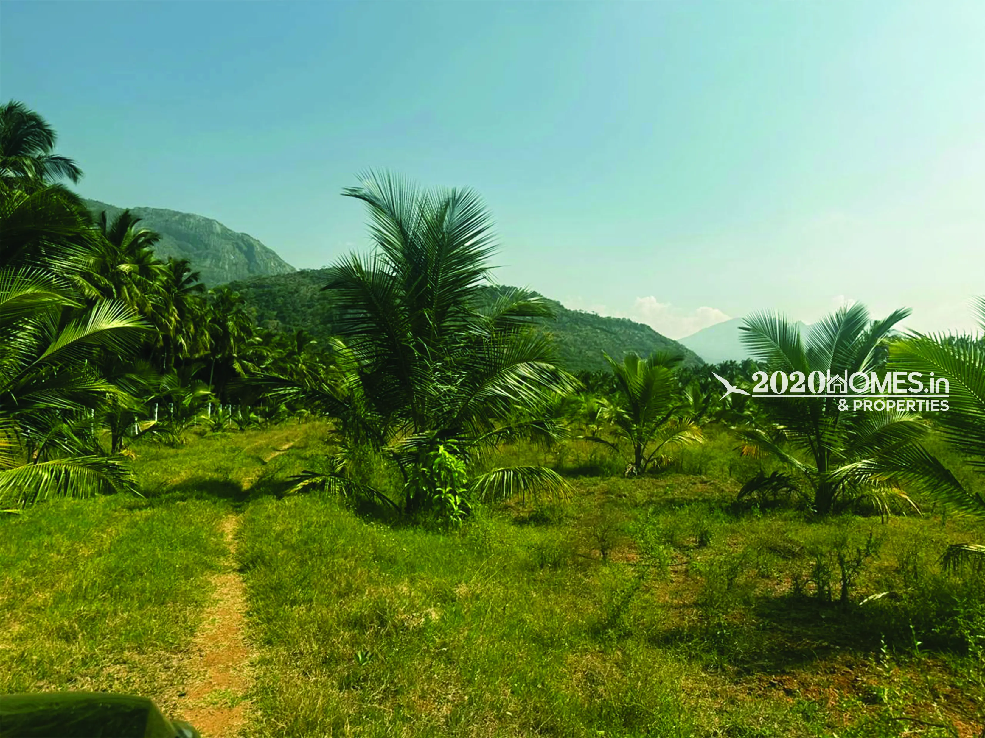 Angalakurichi GopalSwamy